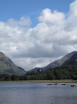 SX23491 Tower poking behind trees by Llyn Padarn by Llandberis.jpg